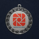 Silver medal DFA - Vookovar-2014 Varlus