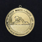 Gold medal PAM - Monte-2104, Montenegro, Ice of Greenland-1